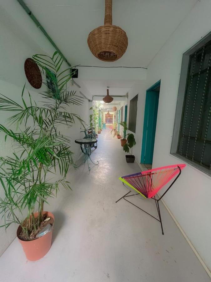 Casa Calido Hotel Косумел Екстериор снимка