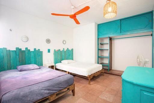 Casa Calido Hotel Косумел Стая снимка