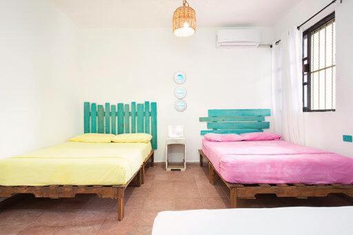 Casa Calido Hotel Косумел Стая снимка